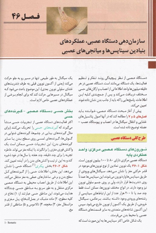 فیزیولوژی گایتون و هال 2021 اندیشه رفیع جلد2 شومیز