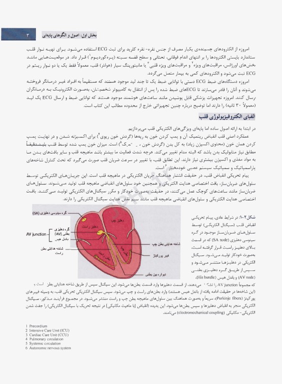الکتروکاردیوگرافی بالینی گلدبرگر یک رویکرد ساده 2024