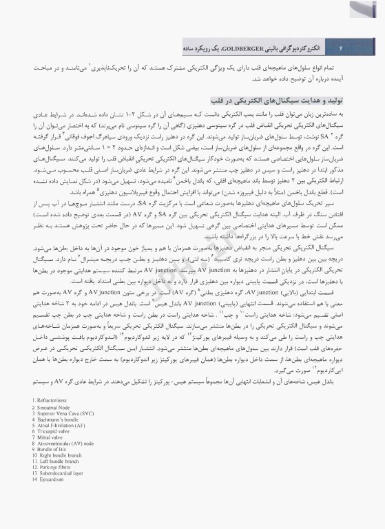 الکتروکاردیوگرافی بالینی گلدبرگر یک رویکرد ساده 2024