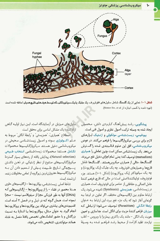 ترجمه کامل میکروب‌شناسی پزشکی جاوتز 2019 تک جلدی