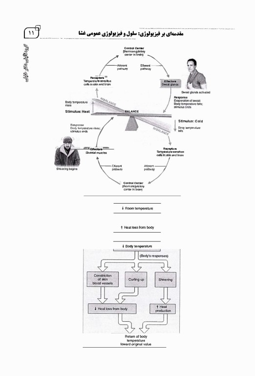 مروری جامع بر فیزیولوژی پزشکی دکتر امید صالحیان