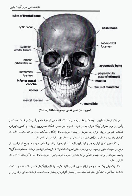 کالبد شناسی سر و گردن بالینی محرری