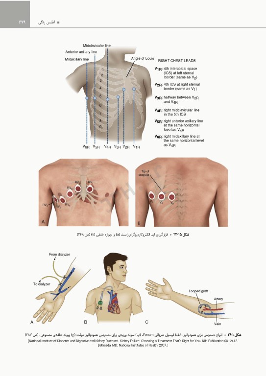 پرستاری اورژانس شیهی 2020 اصول و عملکرد
