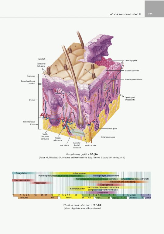 پرستاری اورژانس شیهی 2020 اصول و عملکرد