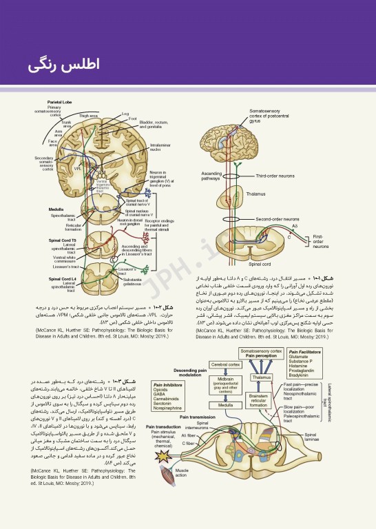 پرستاری اورژانس شیهی 2020 اصول و عملکرد