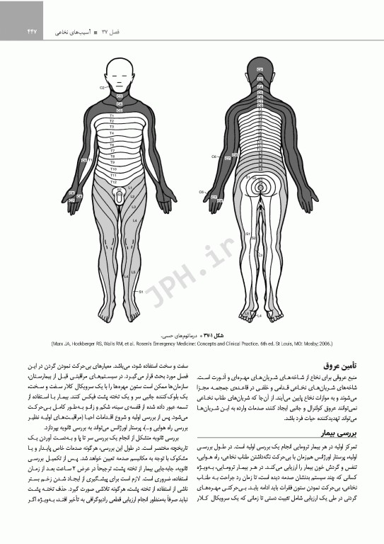 پرستاری اورژانس شیهی 2020 اصول و عملکرد