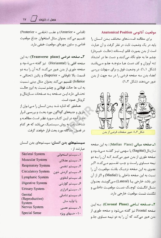 آناتومی عمومی والیانی