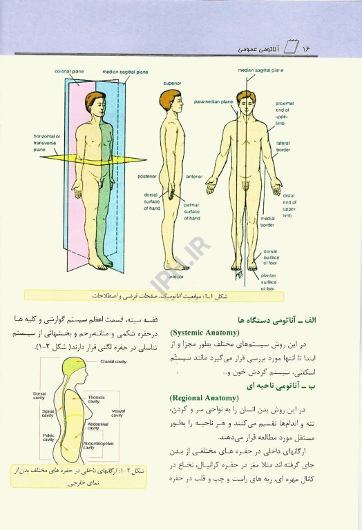 آناتومی عمومی والیانی