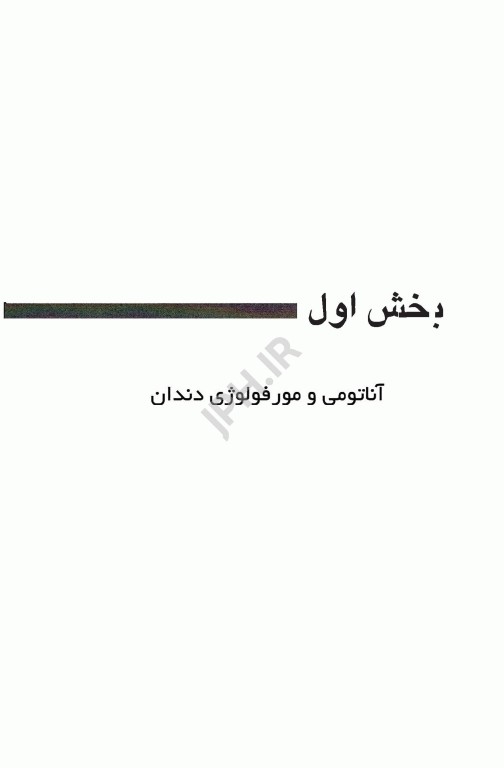 آناتومی و مورفولوژی دندان تئوری و عملی