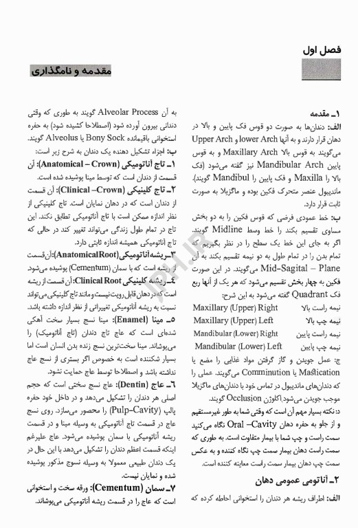 آناتومی و مورفولوژی دندان تئوری و عملی