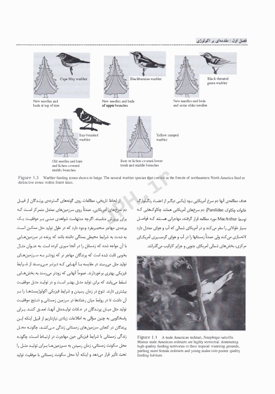 اکولوژی مالز مفاهیم و کاربردها