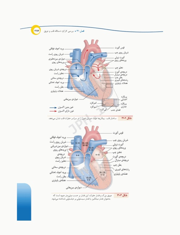 درسنامه‌ی پرستاری داخلی جراحی بزرگسالان و سالمندان جلد3