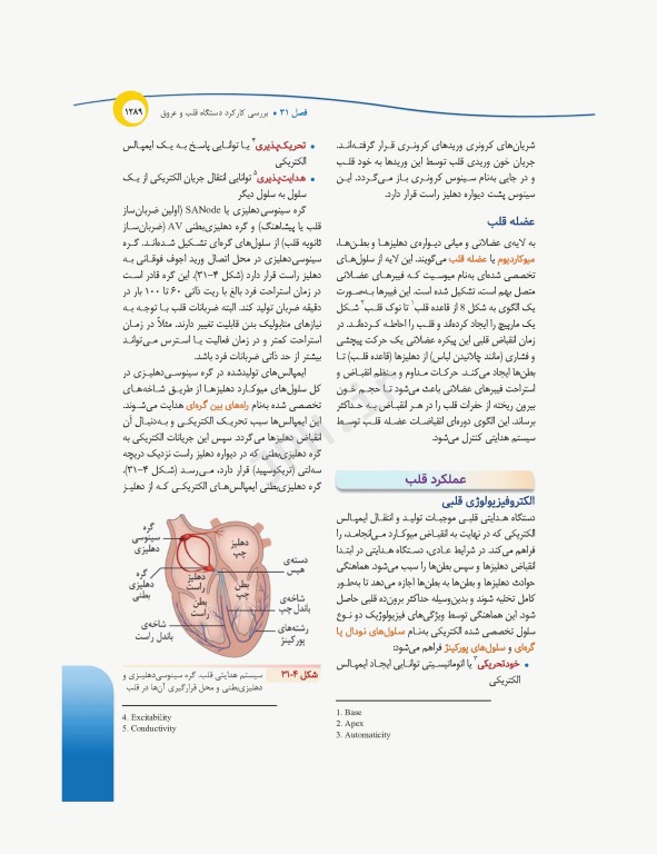 درسنامه‌ی پرستاری داخلی جراحی بزرگسالان و سالمندان جلد3