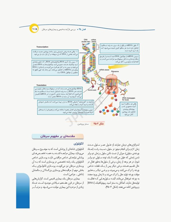 درسنامه‌ی پرستاری داخلی جراحی بزرگسالان و سالمندان جلد3