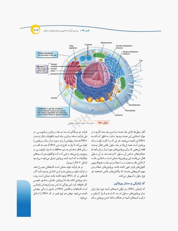 درسنامه‌ی پرستاری داخلی جراحی بزرگسالان و سالمندان جلد3