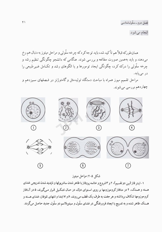 بافت‌شناسی انسانی