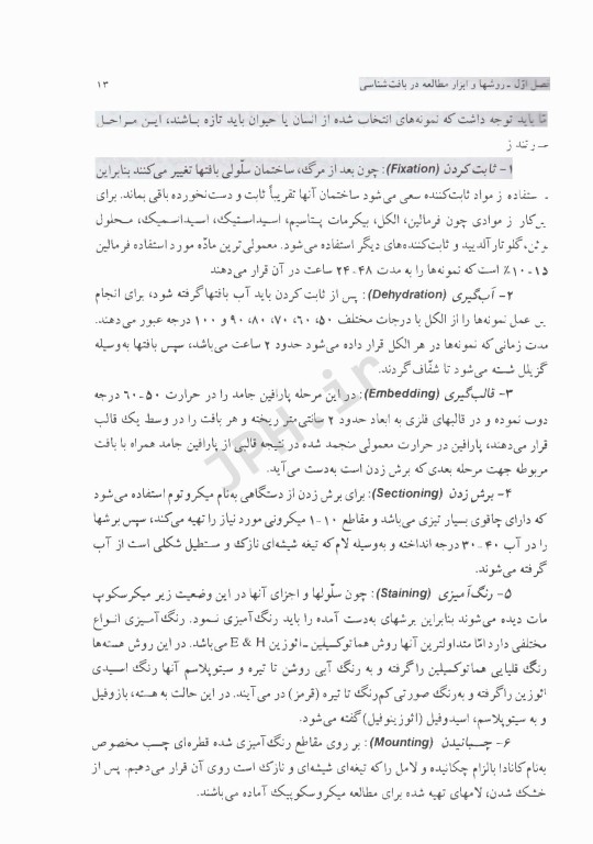 بافت‌شناسی انسانی