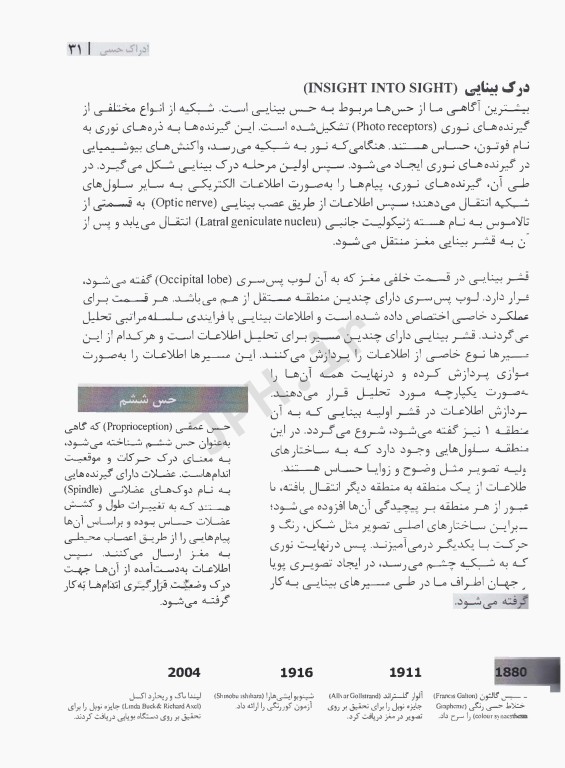 50 ایده مهم درباره مغز که شما باید بدانید