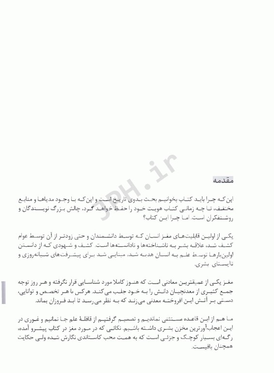 50 ایده مهم درباره مغز که شما باید بدانید