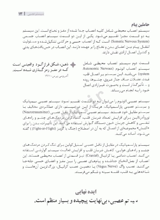 50 ایده مهم درباره مغز که شما باید بدانید