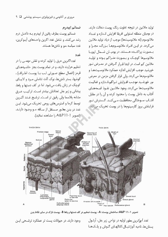پرستاری داخلی جراحی بلک 2009 جلد11 پوست و سوختگی