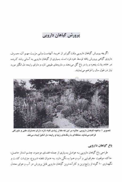 روش‌های تهیه موارد مصرف و نحوه کاربرد داروهای گیاهی