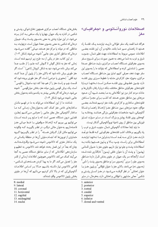 علوم اعصاب شناختی‎ ‎‏(نوروسایکولوژی) جلد اول‏