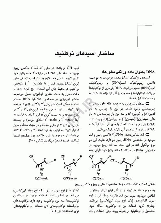 درس و آزمون کارشناسی، ارشد و دکترای جلد دوم، زیست‌ شناسی مولکولی