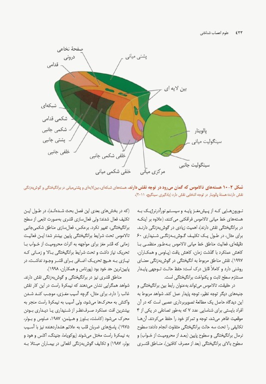 علوم اعصاب شناختی (نوروسایکولوژی) جلد دوم