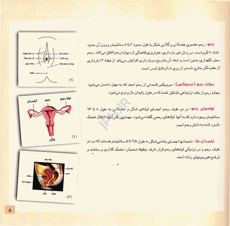 آموزش‌های دوران بارداری و آمادگی برای زایمان همراه فیلم آموزشی
