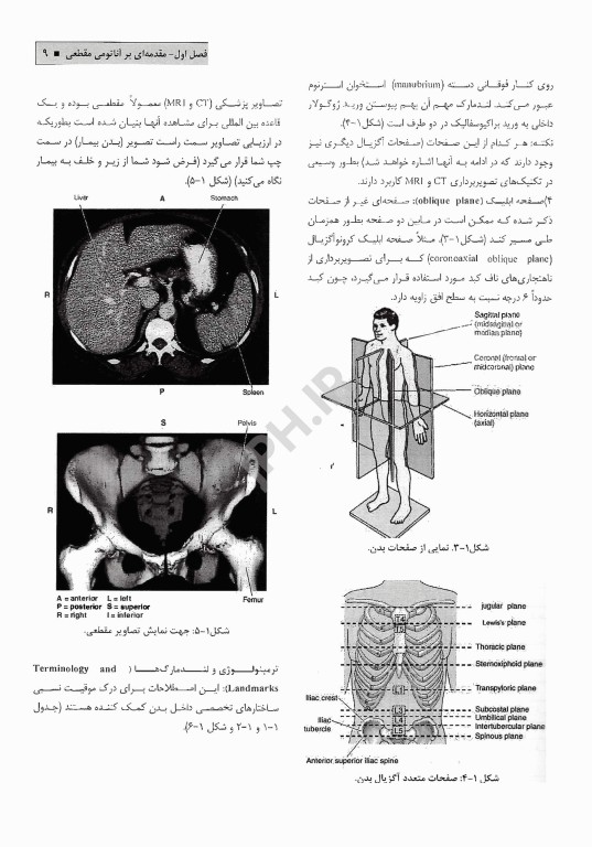 آناتومی مقطعی تنه برای دانشجویان و پزشکان علوم رادیولوژی و رادیوتراپی