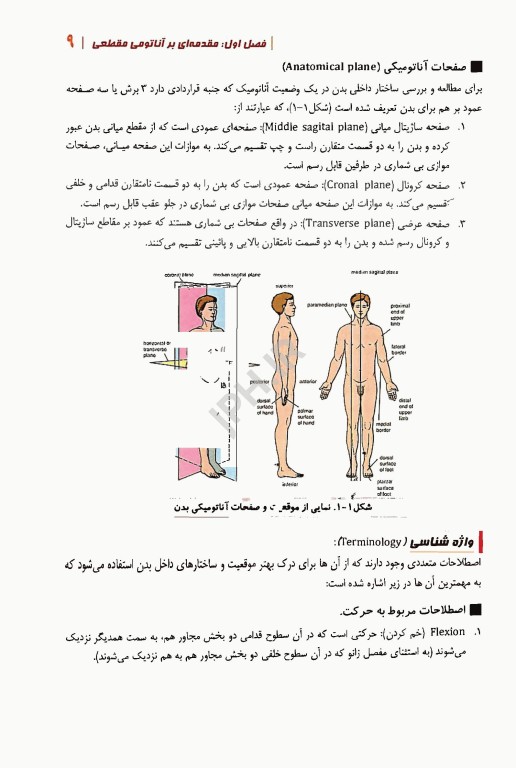 آناتومی مقطعی تنه و ستون فقرات همراه با آموزش تصاویر CT Scan و MRI