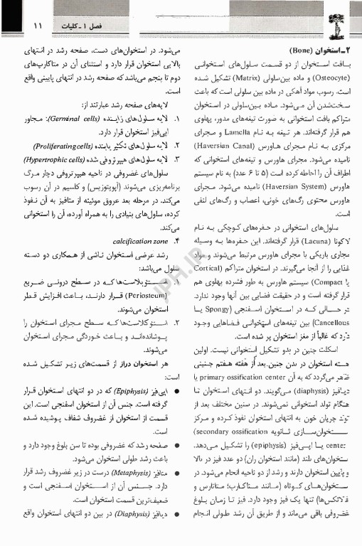 گزیده درسنامه ارتوپدی و شکستگی‌ها