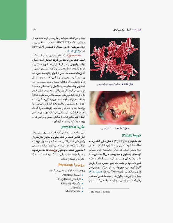 تکنولوژی جراحی برای تکنولوژیست جراحی 2024 جلد اول مقدمه‌ای بر تکنولوژی جراحی، اصول و فنون تکنولوژی جراحی
