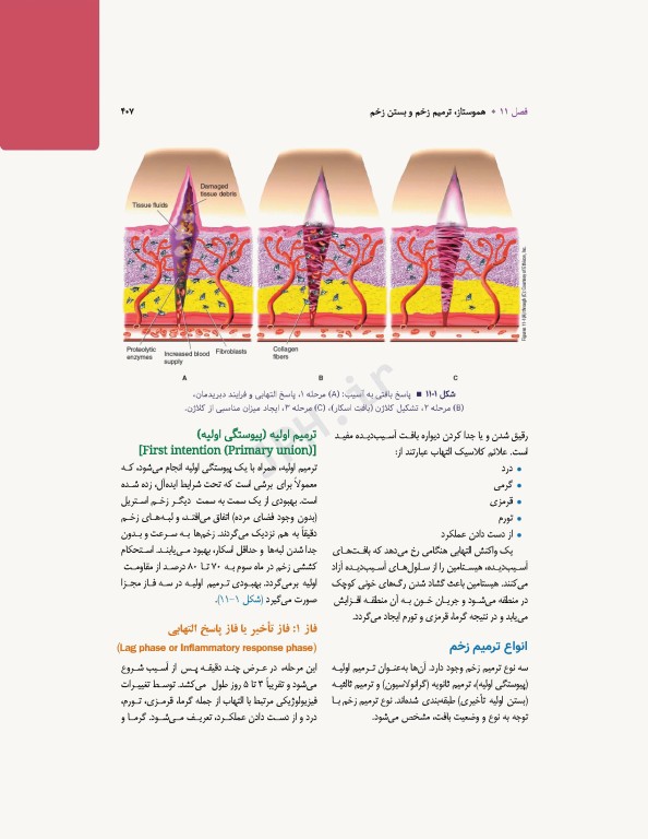تکنولوژی جراحی برای تکنولوژیست جراحی 2024 جلد اول مقدمه‌ای بر تکنولوژی جراحی، اصول و فنون تکنولوژی جراحی