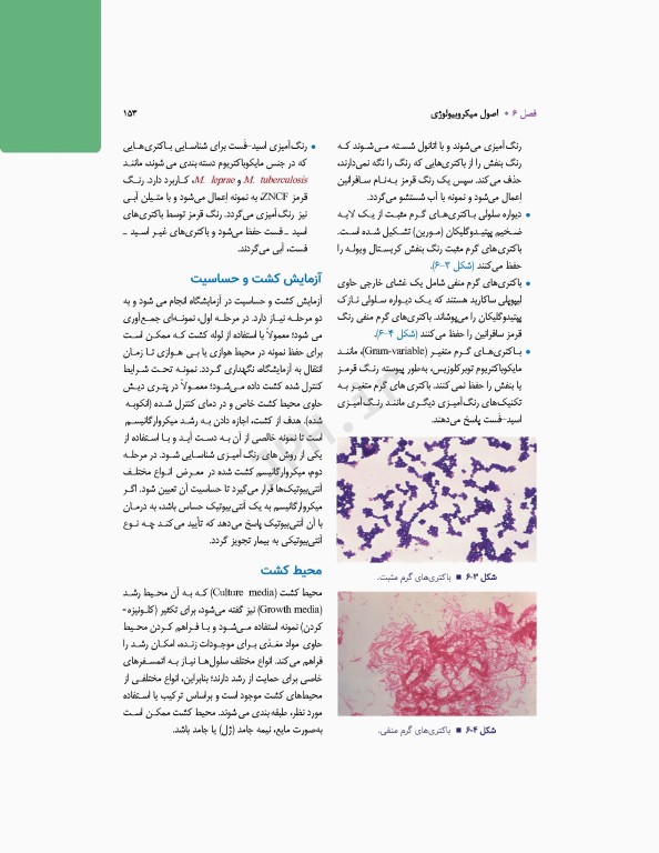 تکنولوژی جراحی برای تکنولوژیست جراحی 2024 جلد اول مقدمه‌ای بر تکنولوژی جراحی، اصول و فنون تکنولوژی جراحی
