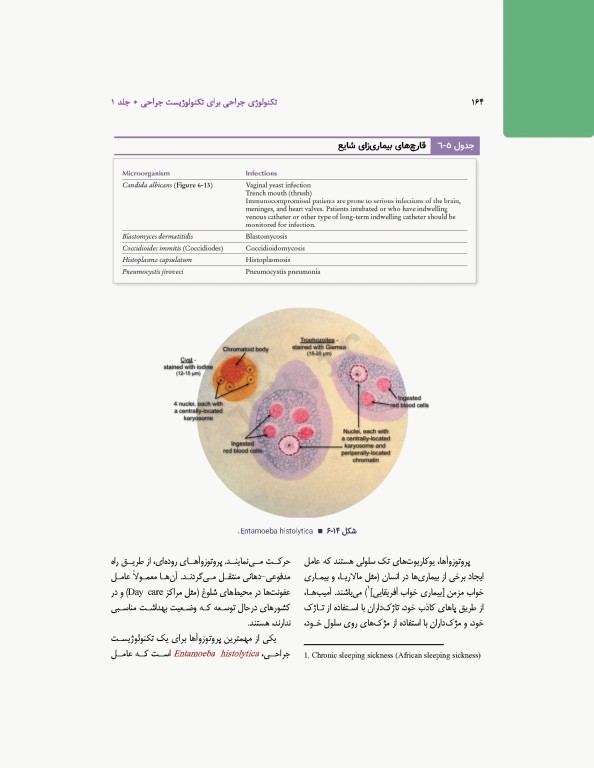 تکنولوژی جراحی برای تکنولوژیست جراحی 2024 جلد اول مقدمه‌ای بر تکنولوژی جراحی، اصول و فنون تکنولوژی جراحی