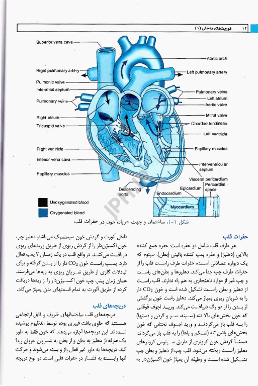 اورژانس‌های پیش بیمارستانی فوریتهای داخلی 1