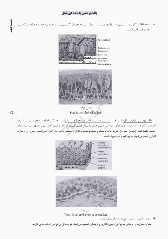 درسنامه AGK بافت‌شناسی ویژه کارشناسی ارشد آناتومی وزارت بهداشت، آزمون لیسانس به پزشکی