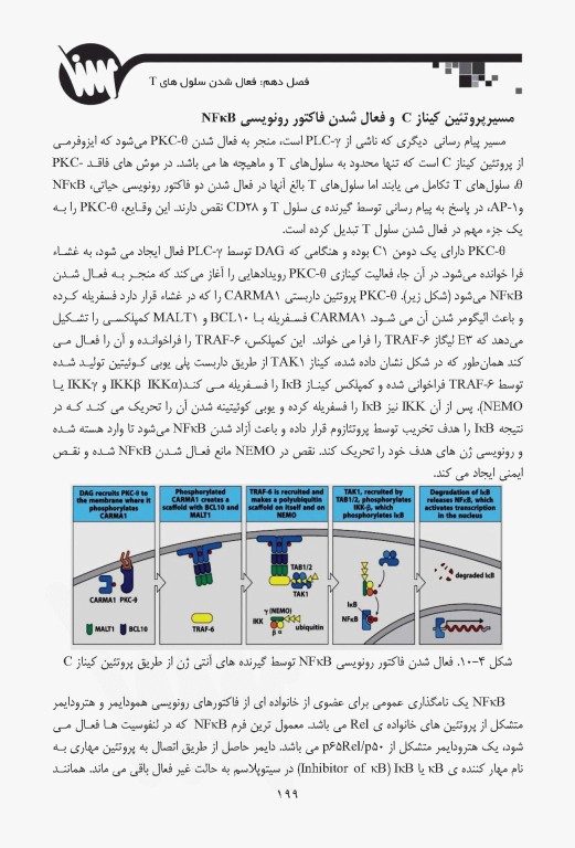 صفر تا صد ایمنی‌شناسی