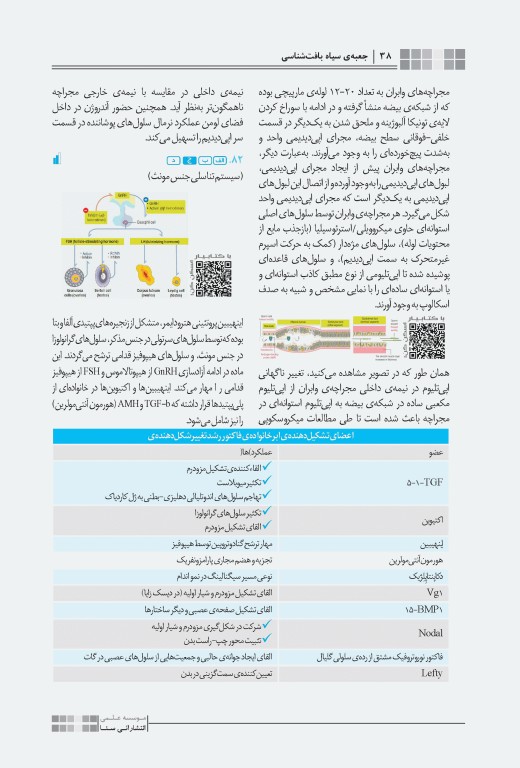 جعبه‌ی سیاه دکتری بافت‌شناسی