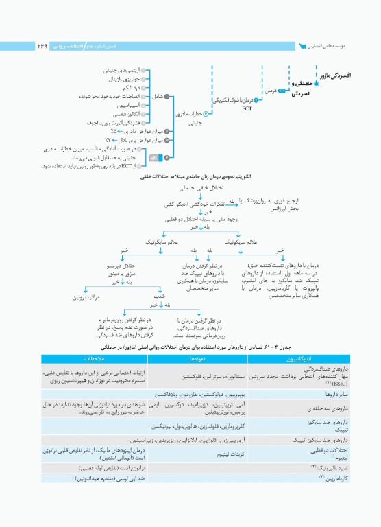 نمودارنامه بیماری‌های داخلی و جراحی در مامایی