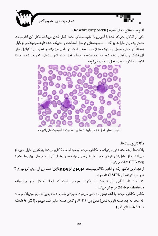 خون‌شناسی و بانک خون