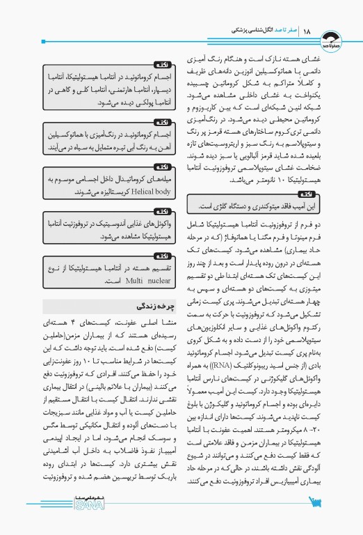 صفر تا صد انگل‌شناسی پزشکی سنا