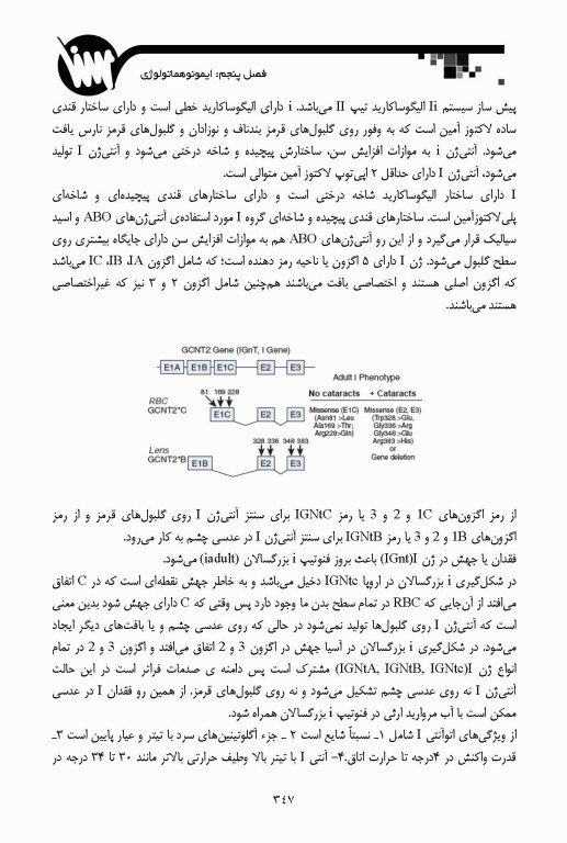 خون‌شناسی و بانک خون