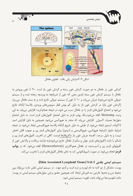 صفر تا صد ایمنی‌شناسی