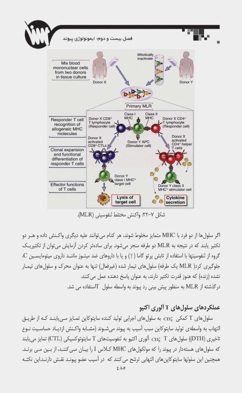 صفر تا صد ایمنی‌شناسی