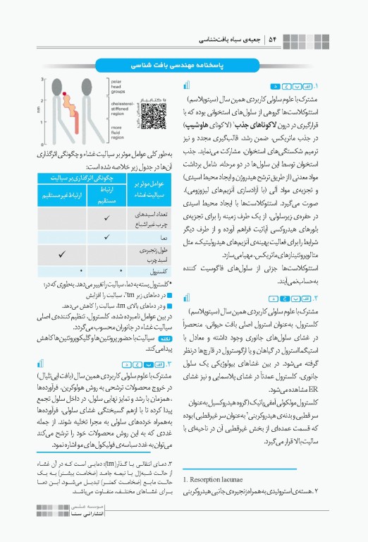 جعبه‌ی سیاه دکتری بافت‌شناسی