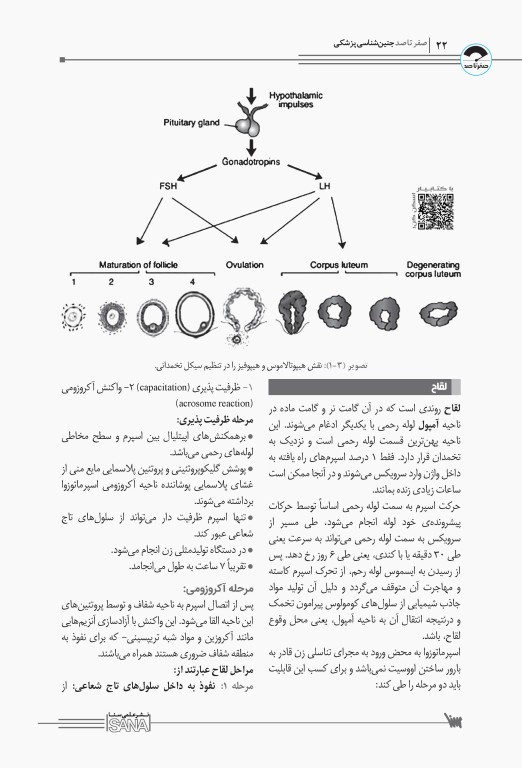 صفر تا صد جنین‌شناسی پزشکی سنا