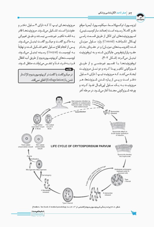 صفر تا صد انگل‌شناسی پزشکی سنا
